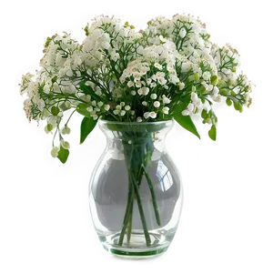 Baby's Breath In Vase Png 21 PNG image