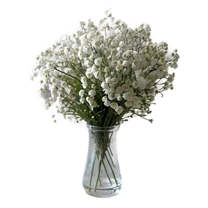 Baby's Breath In Vase Png 7 PNG image