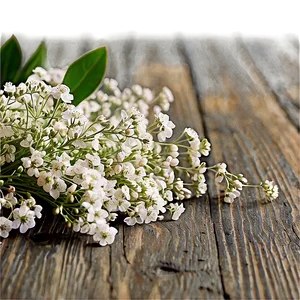 Baby's Breath On Wooden Table PNG 06212024