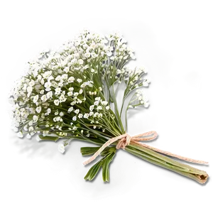 Baby's Breath On Wooden Table PNG Orm