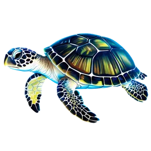 Baby Sea Turtle PNG Bku PNG