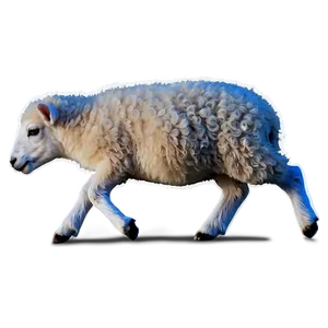 Baby Sheep PNG Cbr