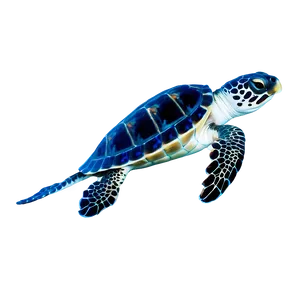 Baby Turtle And Fish PNG Jxi