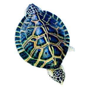 Baby Turtle And Fish PNG Kqj24 PNG