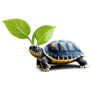 Baby Turtle And Flower PNG 06252024