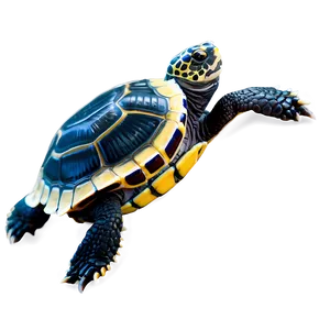 Baby Turtle Crawling PNG 06252024