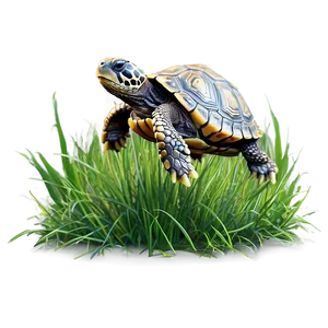 Baby Turtle In Grass Png Yql28 PNG image