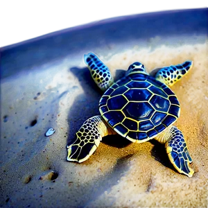 Baby Turtle In Sand Png 7 PNG image