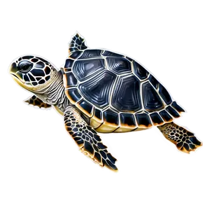 Baby Turtle In Sand Png Cgh49 PNG image