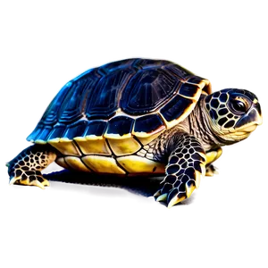 Baby Turtle On Beach Png Pkt PNG image