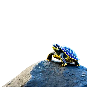 Baby Turtle On Rock PNG Oji40 PNG