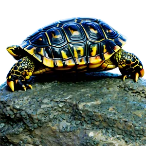 Baby Turtle On Rock PNG Qxc