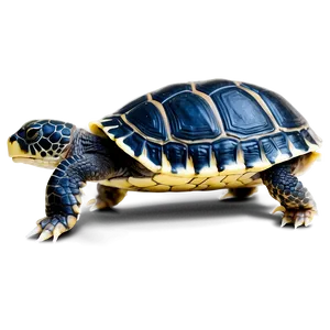 Baby Turtle Profile Png Dnj PNG image