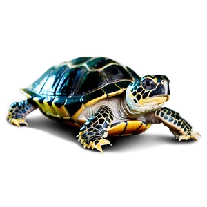 Baby Turtle Side View PNG 21 PNG