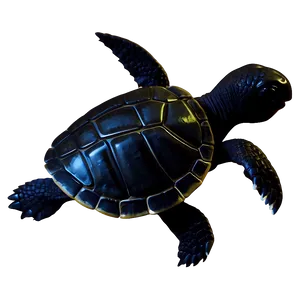 Baby Turtle Silhouette PNG Pym
