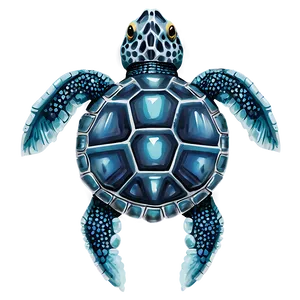 Baby Turtle Top View Png 11 PNG image