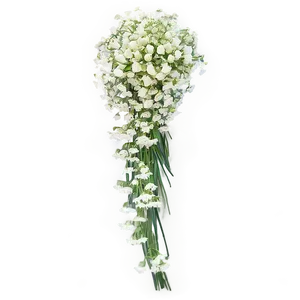 Babys Breath Cascading Bouquet Elegance PNG 06132024 PNG