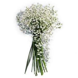 Babys Breath Cascading Bouquet Elegance PNG 9 PNG