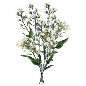 Babys Breath Fairy Lights Decor PNG 86 PNG