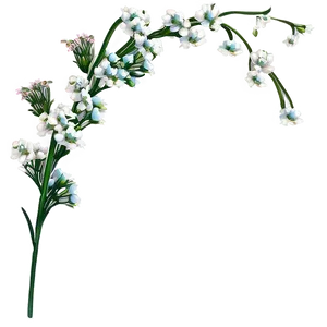 Babys Breath Greeting Card Art PNG 27 PNG