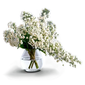 Babys Breath In Vase Png Kvk4 PNG image