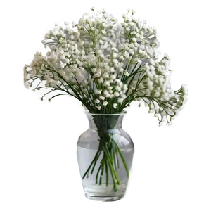 Babys Breath In Vase Png Urh20 PNG image