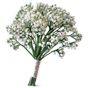 Babys Breath Summer Wedding Accent PNG 06132024 PNG