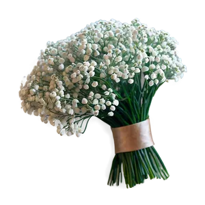 Babys Breath Summer Wedding Accent PNG 2 PNG