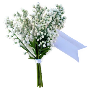 Babys Breath Summer Wedding Accent PNG Pap PNG