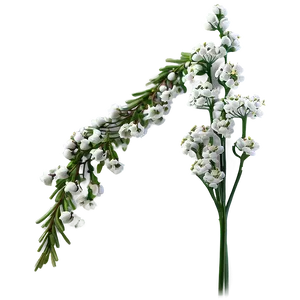 Babys Breath Wedding Decor Png Mjm PNG image