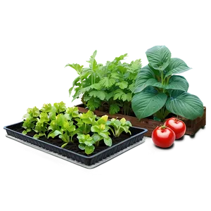 Backyard Farming Essentials PNG Hwt41