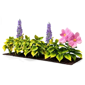 Backyard Flower Bed PNG 06272024