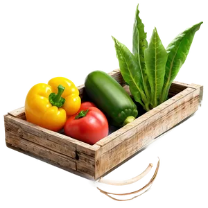 Backyard Vegetable Garden PNG Tcb PNG