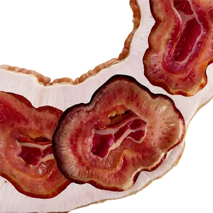 Bacon And Mushrooms PNG Unl PNG