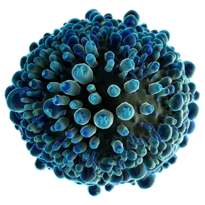 Bacteria Cell Structure PNG 70 PNG