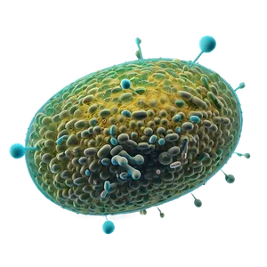 Bacteria Cell Structure PNG 81 PNG