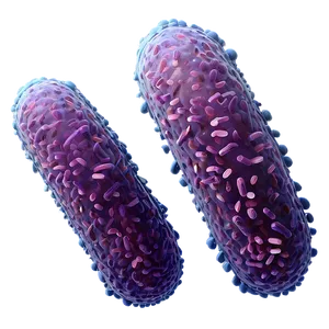 Bacteria Close Up PNG 05242024 PNG