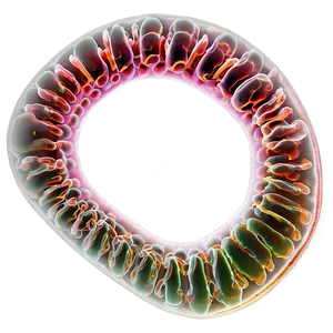 Bacteria Culture PNG 05242024 PNG