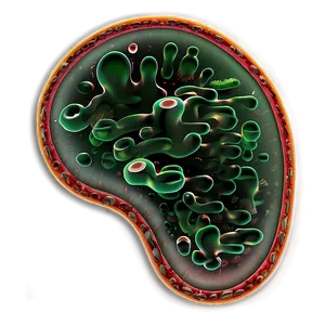 Bacteria Diagram PNG 45 PNG