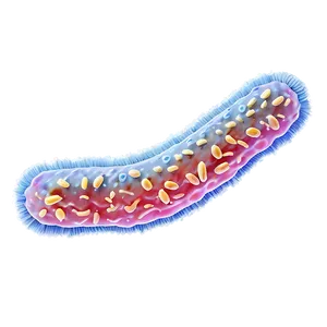 Bacteria Division PNG 73