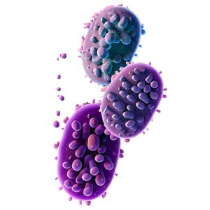 Bacteria Division PNG Fjv PNG