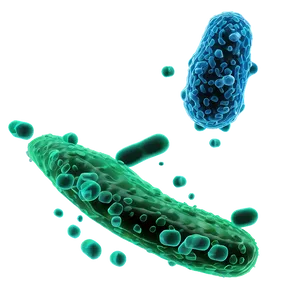 Bacteria Environmental PNG 43 PNG
