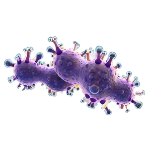 Bacteria Growth PNG 92 PNG