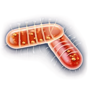 Bacteria In Food Png Cxp49 PNG image