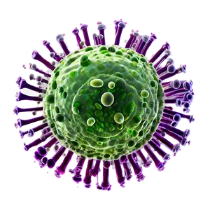 Bacteria In Nature PNG 05242024 PNG