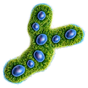 Bacteria In Nature Png 29 PNG image