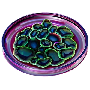 Bacteria In Petri Dish PNG Pmk89