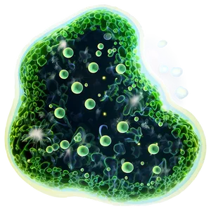 Bacteria In Water PNG 05242024 PNG