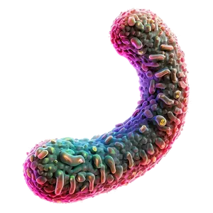 Bacteria Infection Png Uer50 PNG image