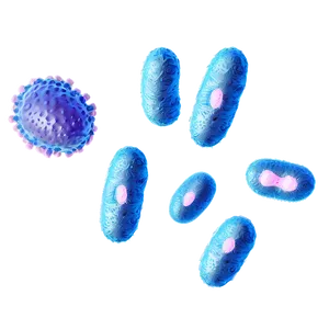 Bacteria Magnification PNG 11
